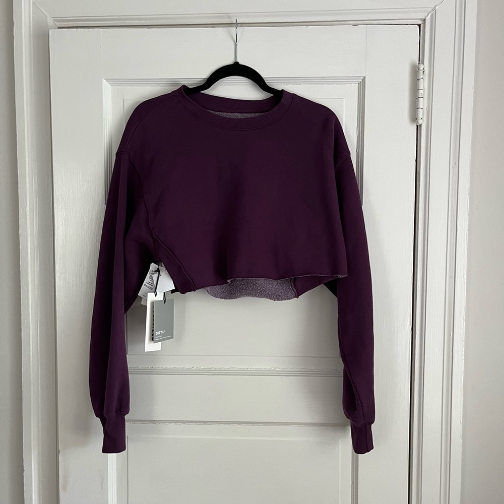 Aritzia Tna cropped sweatshirt